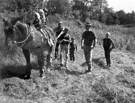 PlowingMule_Gray_Edit1